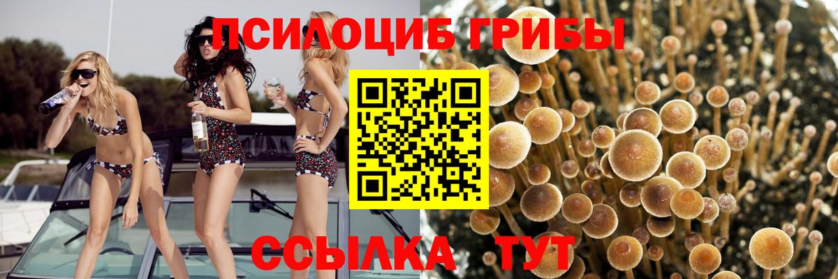 ГАШ Полысаево