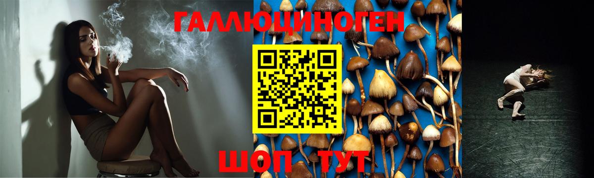 Псилоцибиновые грибы прущие грибы  Псилоцибиновые грибы ЛСД  Полысаево  Вход с VPN 